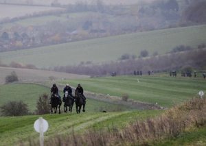 20J8137 Constitution Hill