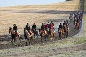 96E0068 Nicky Henderson gallops   Beware The Bear and Altior lead