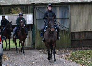 X5B9484 Constitution Hill