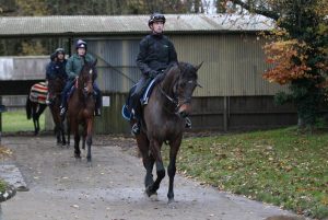 X5B9486 Constitution Hill