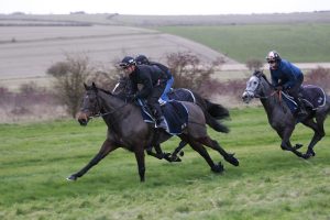 X5B9532 Constitution Hill