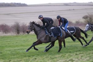 X5B9535 Constitution Hill