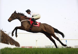 16B5937 Constitution Hill