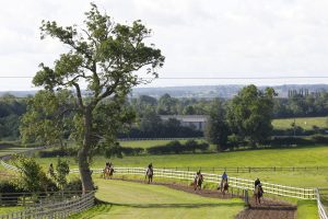16B6112 Phil Kirby gallops
