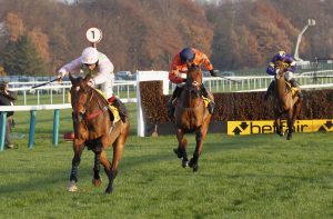 20J9088 Royale Pagaille