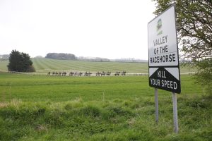 78F8832 Nicky Henderson’s string in Lambourn