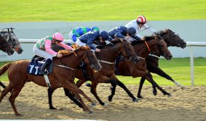 96E0029 Wolverhampton finish