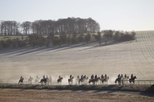 96E0125 Nicky Henderson string