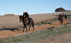 B96E0086 Constitution Hill