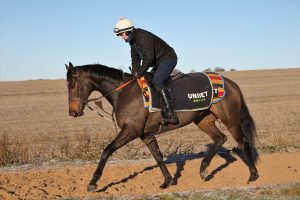 B96E0094 Constitution Hill