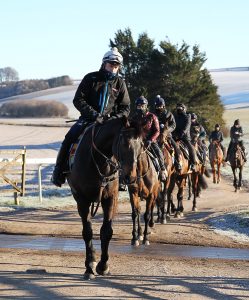 B96E0096 Constitution Hill