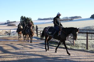 B96E0100 Constitution Hill