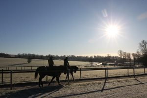 B96E0102 Constitution Hill