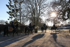 B96E0113 Constitution Hill