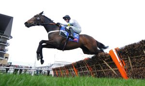 DSC 9706 Constitution Hill