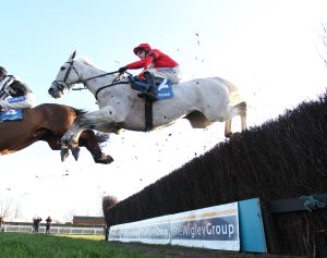 EN4D4534 Grey Dawning