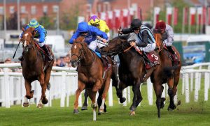 X5B0339 Chindit bite