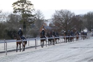 X5B1652 Early Morning Gallops at Nicky Henderson Seven Barrows