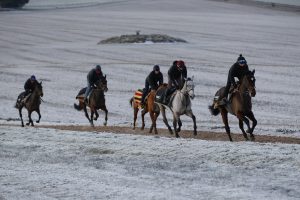 X5B1749 Winter Scenes at Nicky Henderson Seven Barrows