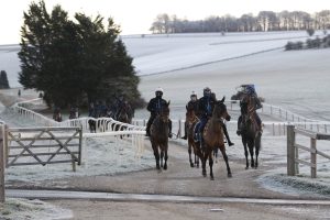 X5B1861 Winter Scenes at Nicky Henderson Seven Barrows