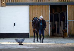 X5B1880 Constitution Hill