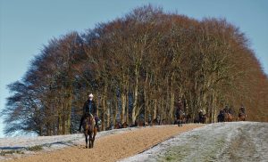 X5B2013 Constitution Hill