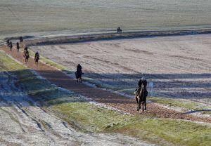 X5B2050 Constitution Hill