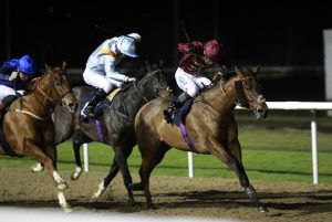 X5B2517 Out Of The Stars