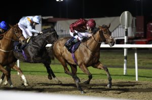 X5B2520 Out Of The Stars