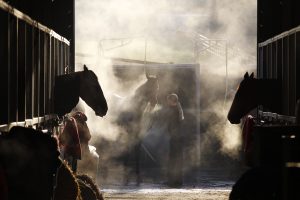 X5B8367 Fergal O’Brien Stables