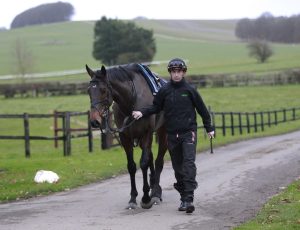 X5B9538 Constitution Hill