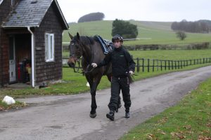 X5B9542 Constitution Hill