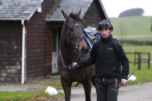 X5B9545 Constitution Hill