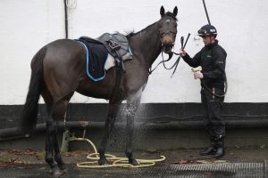 X5B9555 Constitution Hill