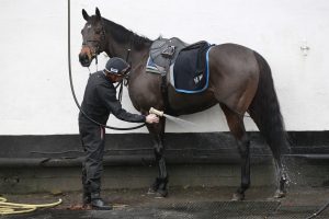 X5B9559 Constitution Hill