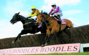 16B7279 Galopin Des Champs   Bravemansgame