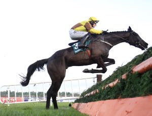 16B7812 Galopin Des Champs