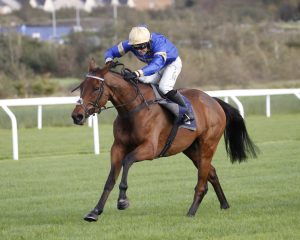 20J0005 Mt Fugi Park