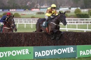 20J3391 Galopin Des Champs