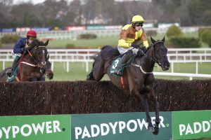 20J3392 Galopin Des Champs