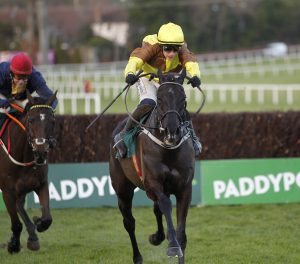 20J3423 Galopin Des Champs