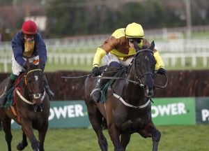 20J3426 Galopin Des Champs