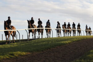 20J4747 Heading to the gallops at Fergal O’Brien stables