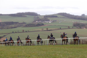 20J4863 Fergal O’Brien gallops