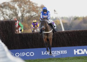 20J8648 Your Darling