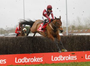 78F0686 Master Chewy