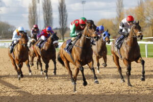 78F6444 Diligent Harry