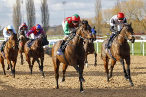 78F6445 Diligent Harry