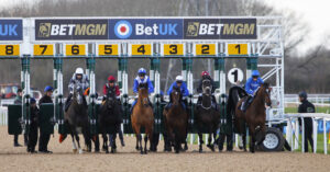 78F6539 Southwell stalls