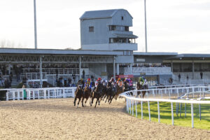 78F6656 Southwell stands